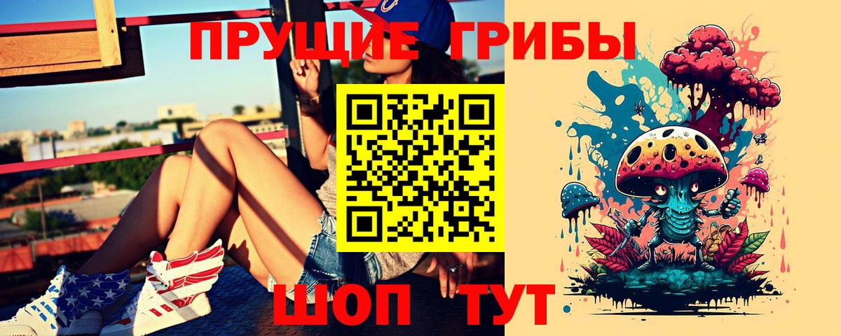 Псилоцибиновые грибы Psilocybe  сколько стоит  Вход с VPN  Сарапул  Галлюциногенные грибы прущие грибы 